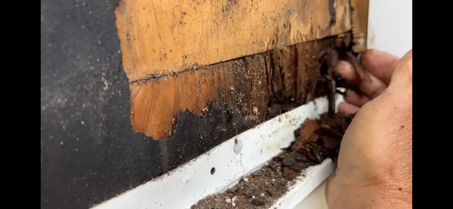 Rotted wood framing and sheathing exposed after removing damaged siding